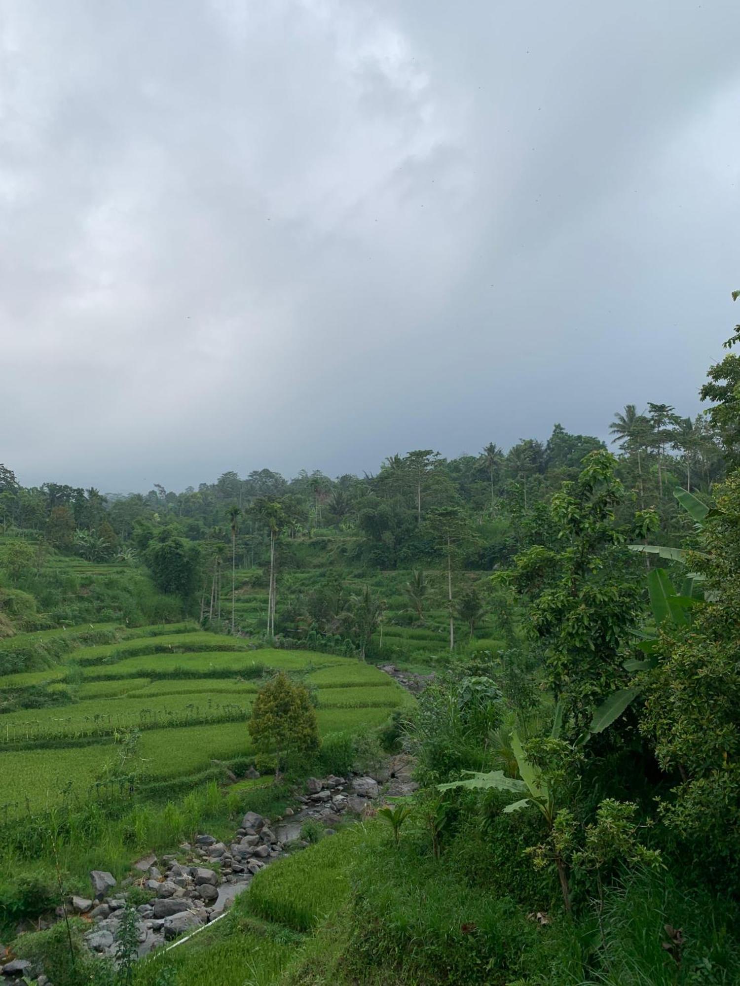 Avocado Homestay Тетебату Экстерьер фото