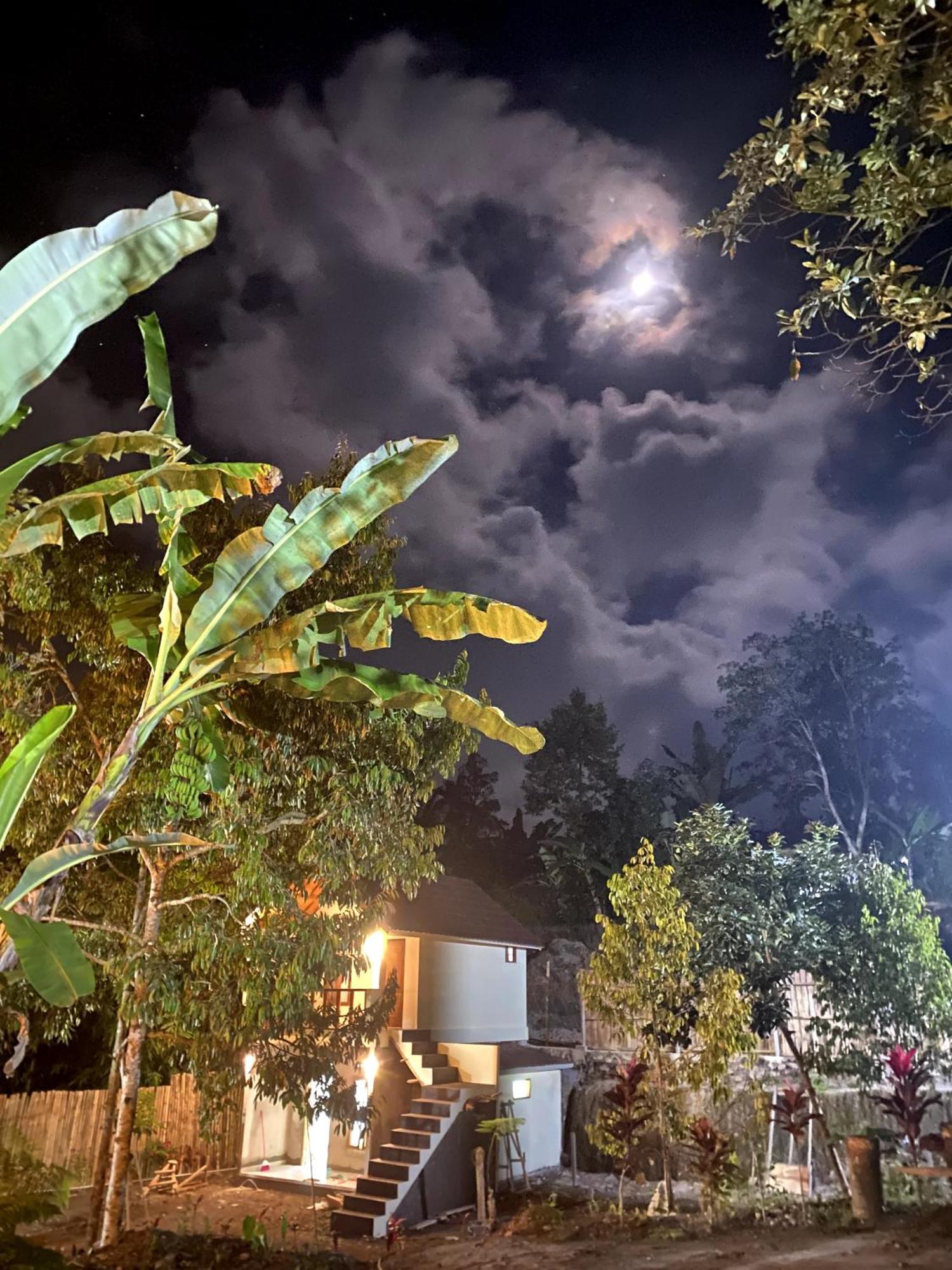 Avocado Homestay Тетебату Экстерьер фото